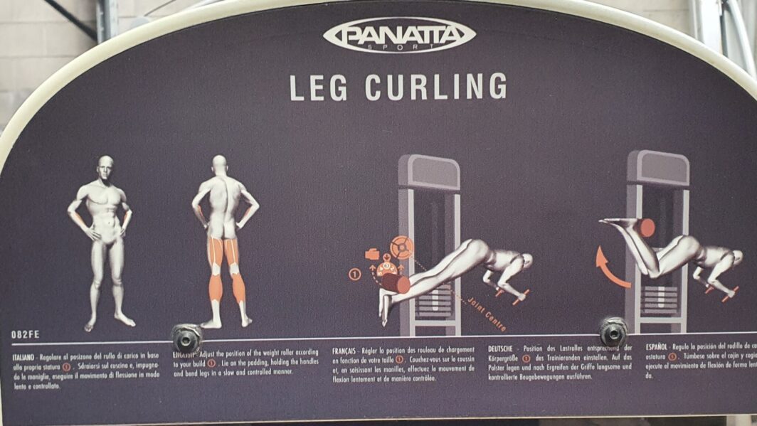 Panatta Evofit Prone Leg Curl infographic