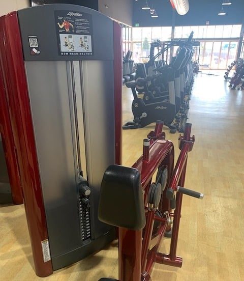 life fitness pin loaded row machine second hand gym equipment