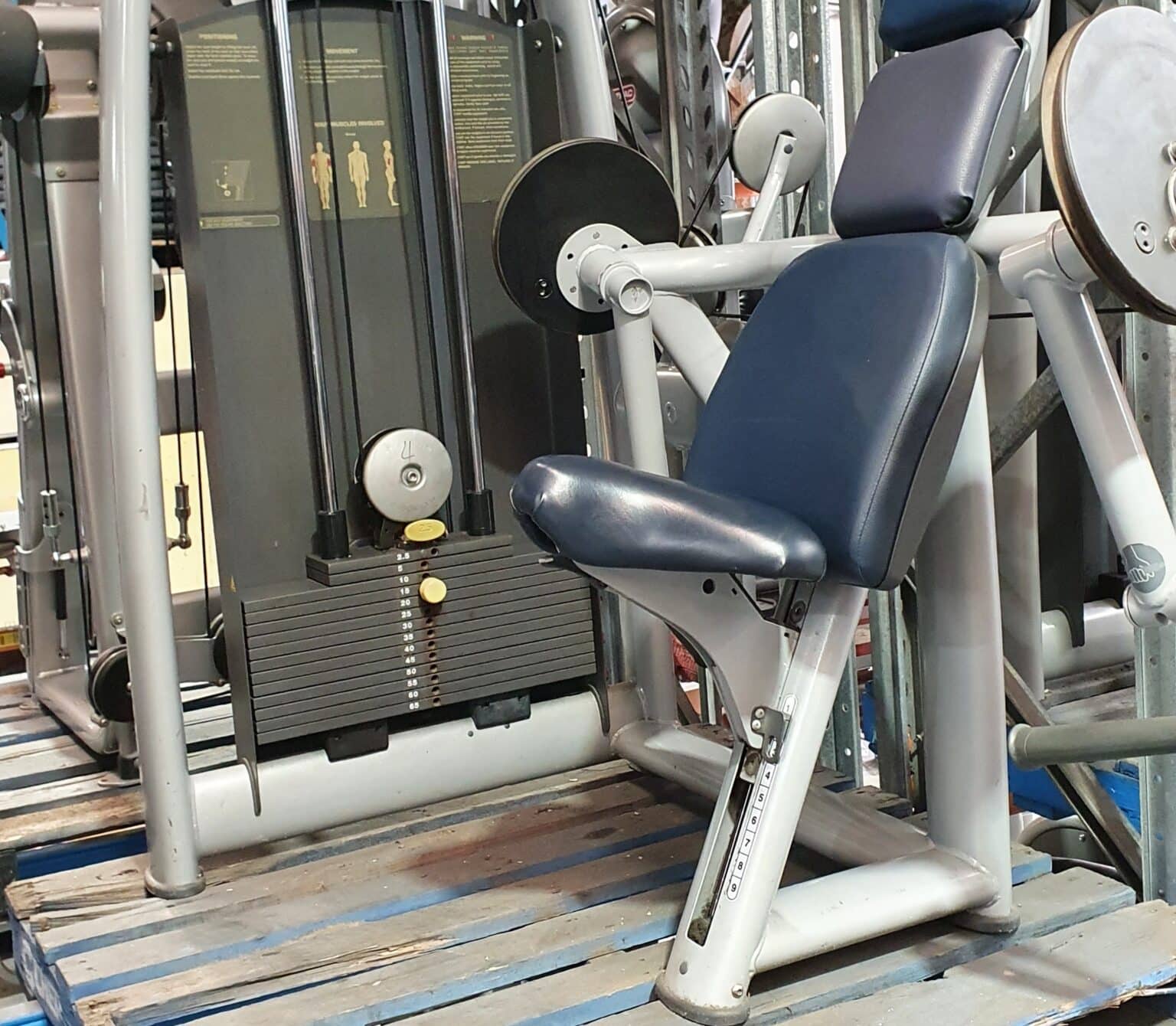 Technogym Selection Series Bicep Curl Gym Solutions