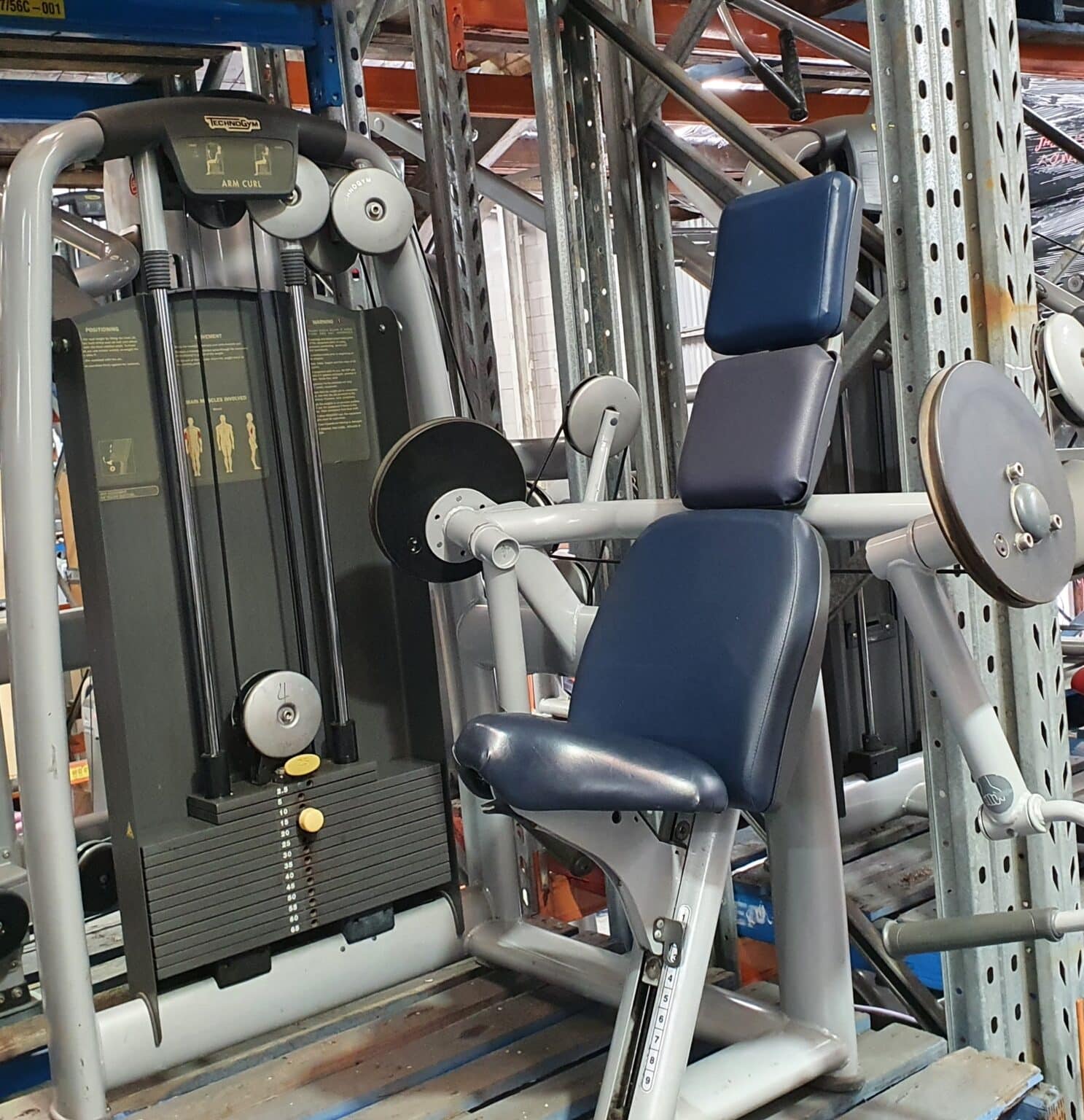 Technogym Selection Series Bicep Curl Gym Solutions