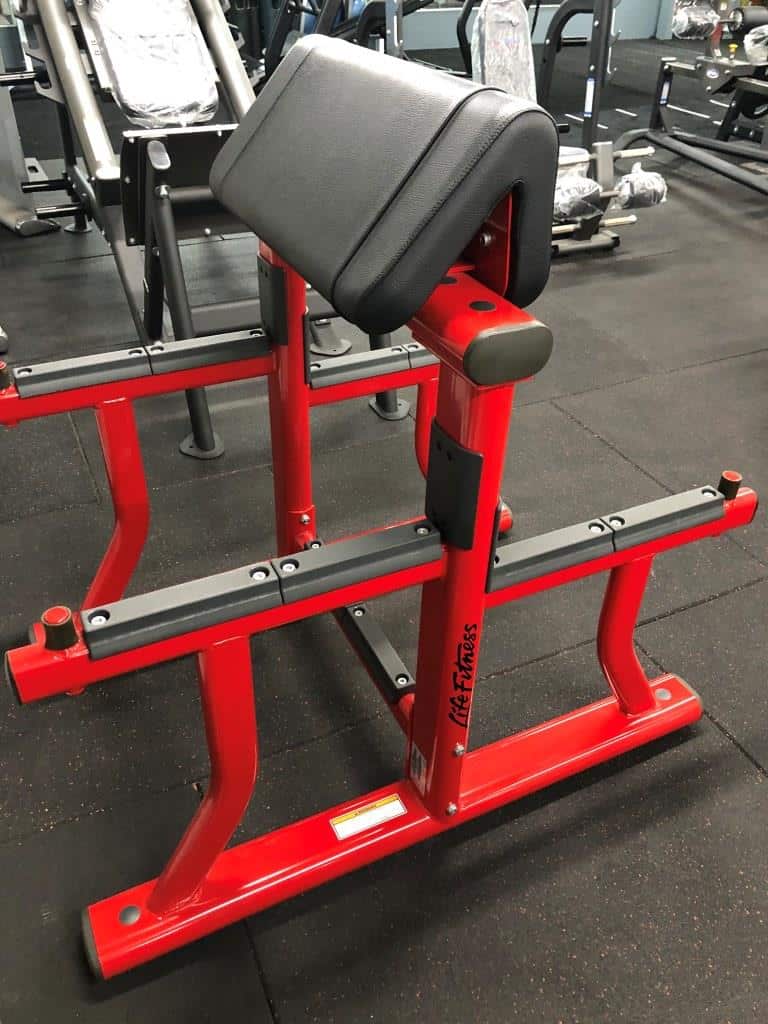 Life Fitness Standing Bicep Curl