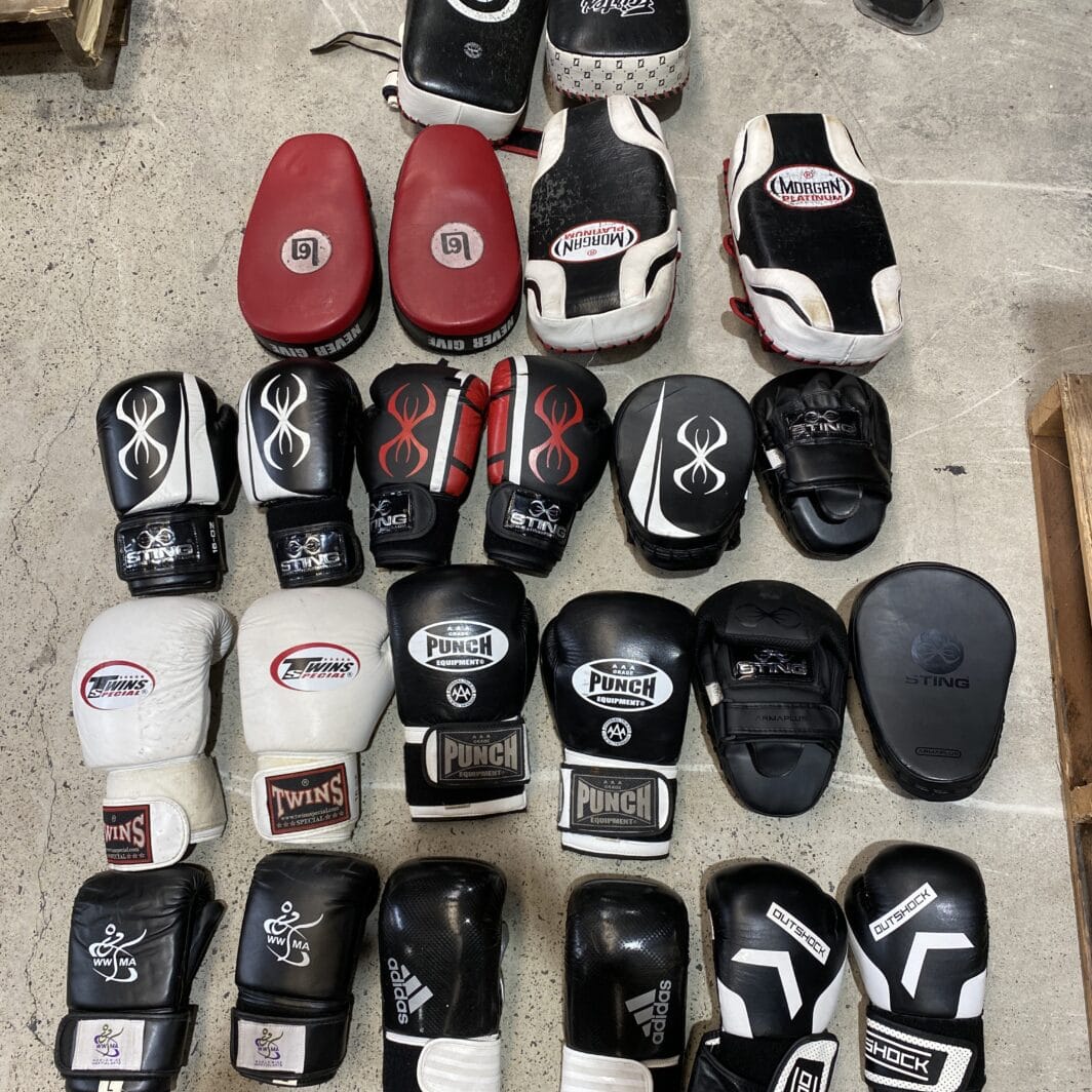 Boxing Gloves and Focus Pads